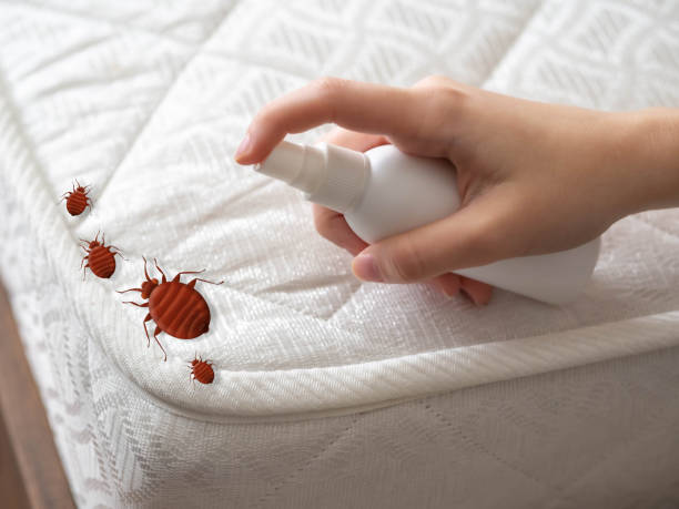 Best Residential Pest Control  in Canton, OH