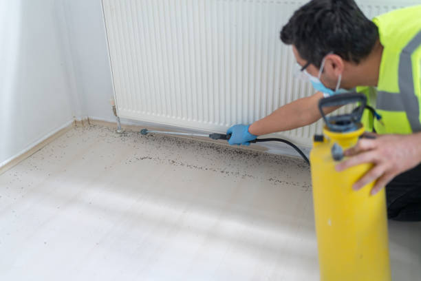 Best Local Pest Control Services  in Canton, OH